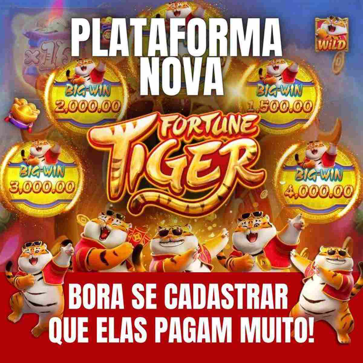 cash max pagamentos ltda